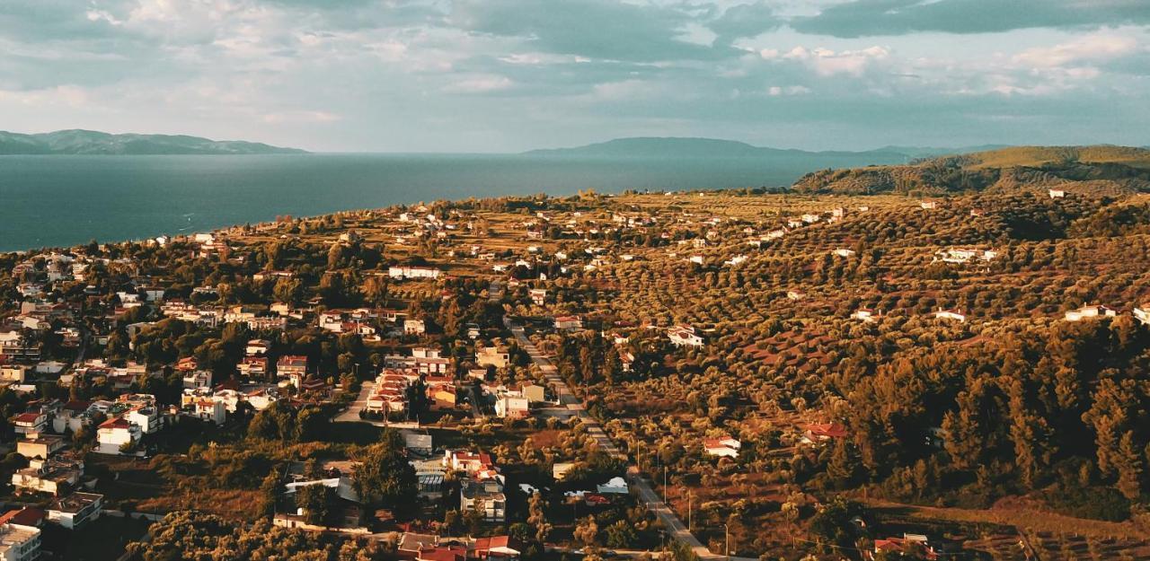Diana Studios Пефки Экстерьер фото
